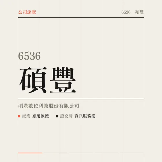 碩豐 公司速覽影片封面